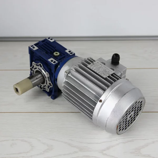 Мотор - редуктор (KLS-S12) или  RB1119ASE Dedong YS6334  1400/  1,43 A / 250W / RPM